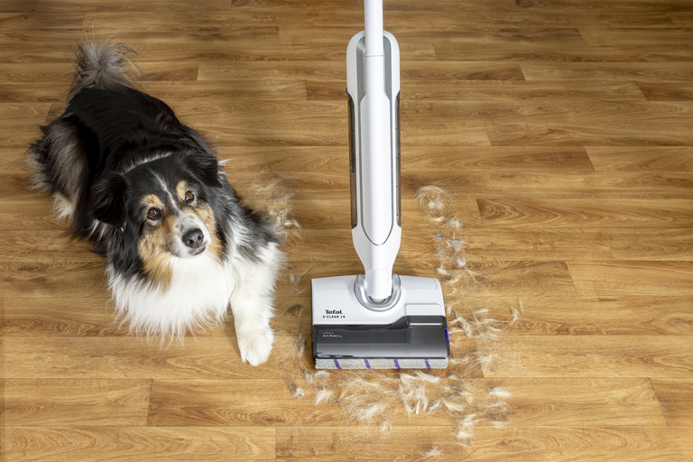 Vilken dammsugare med moppfunktion är bäst för djurägare?