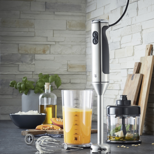 Lineo stavmixer, Set med 4 tillbehör 700 W, rostfritt stål 