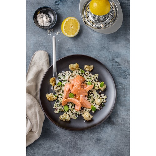 Gourmet  citruspress i rostfritt stål