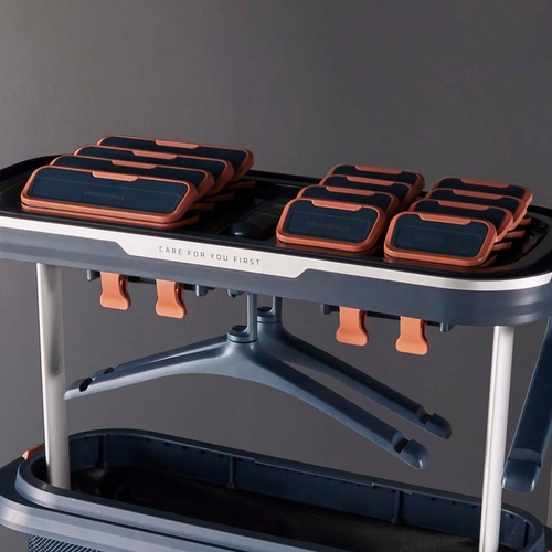Tefal Care For You First Automatisk Ångstation