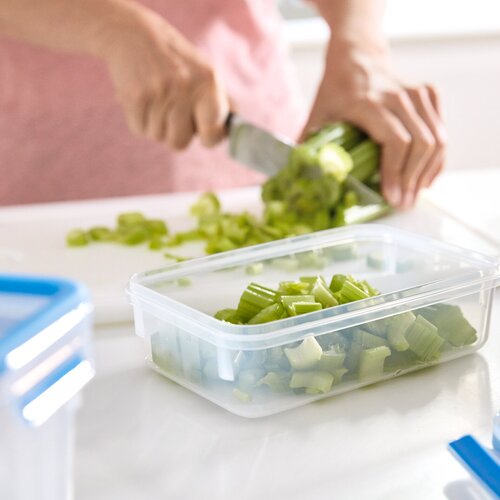 MasterSeal FRESH 0,55 l Matlådor i plast 