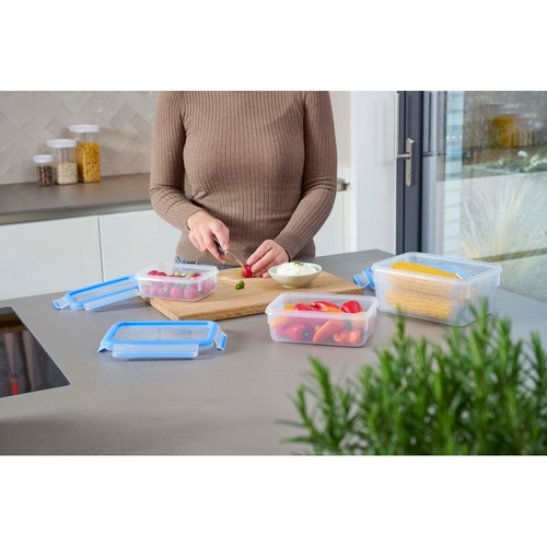 MasterSeal FRESH 0,55 l Matlådor i plast 