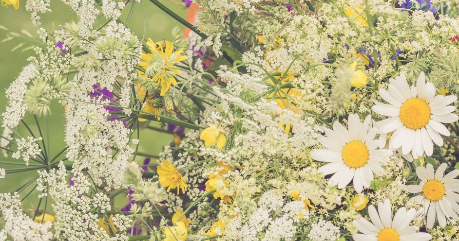 Midsommar erbjudanden