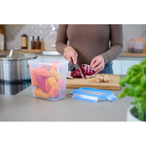 MasterSeal FRESH box 1,6 l Matlådor i plast 