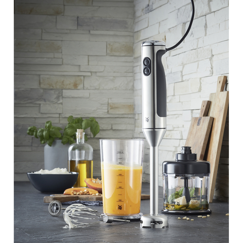 Lineo stavmixer, Set med 4 tillbehör 700 W, rostfritt stål 