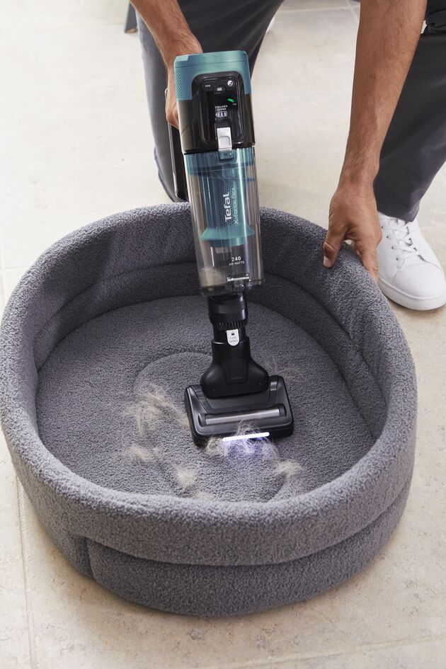 Upplev exceptionell sugkraft med våra dammsugare och specialtillbehör, perfekta för att ta bort hår och ludd från möbler och golv.