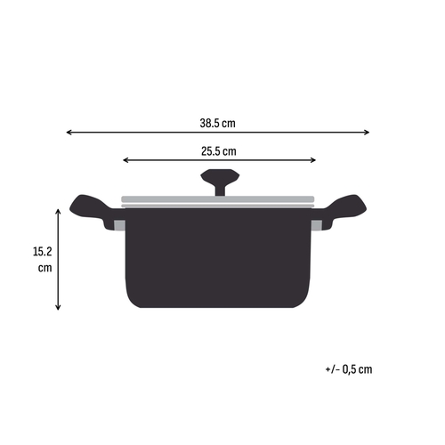 Gryta 24 cm/5,4L. med lock, Rostfritt stål Obelagd, Emotion Plus SS
