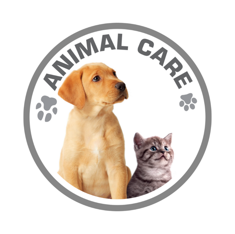 Animal Care