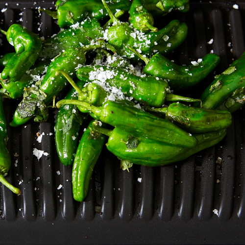 Optigrill XL  Bordsgrill Rostfritt Stål 9 Program 