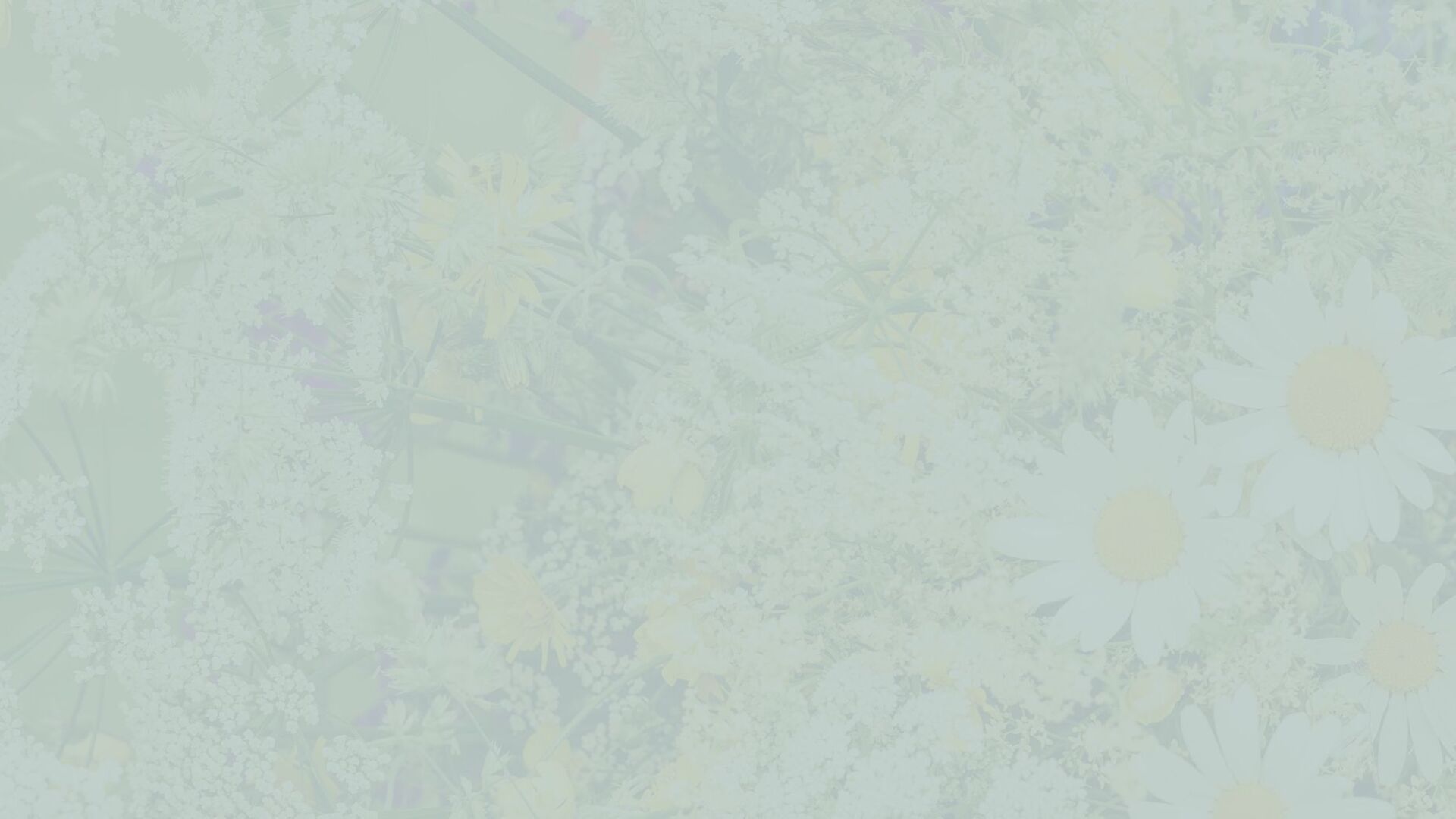 Midsommar erbjudanden