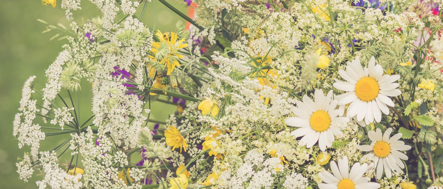 Midsommar erbjudanden