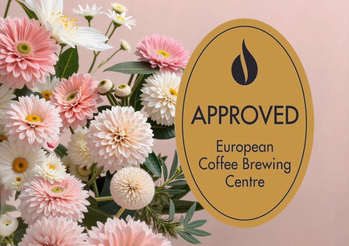 Med ECBC-certifierad kvalitet garanterar vi en bryggning i toppklass.