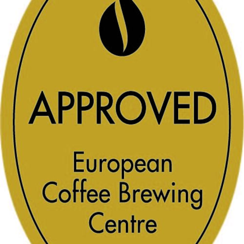Blooming Kaffebryggare Grå 10 koppar