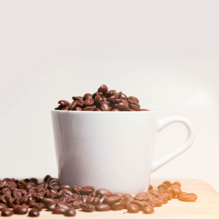 Slutsats: Varför välja en OBH Nordica kaffebryggare